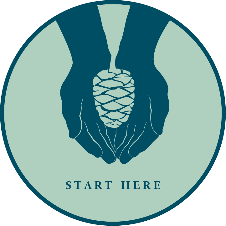 Start Here